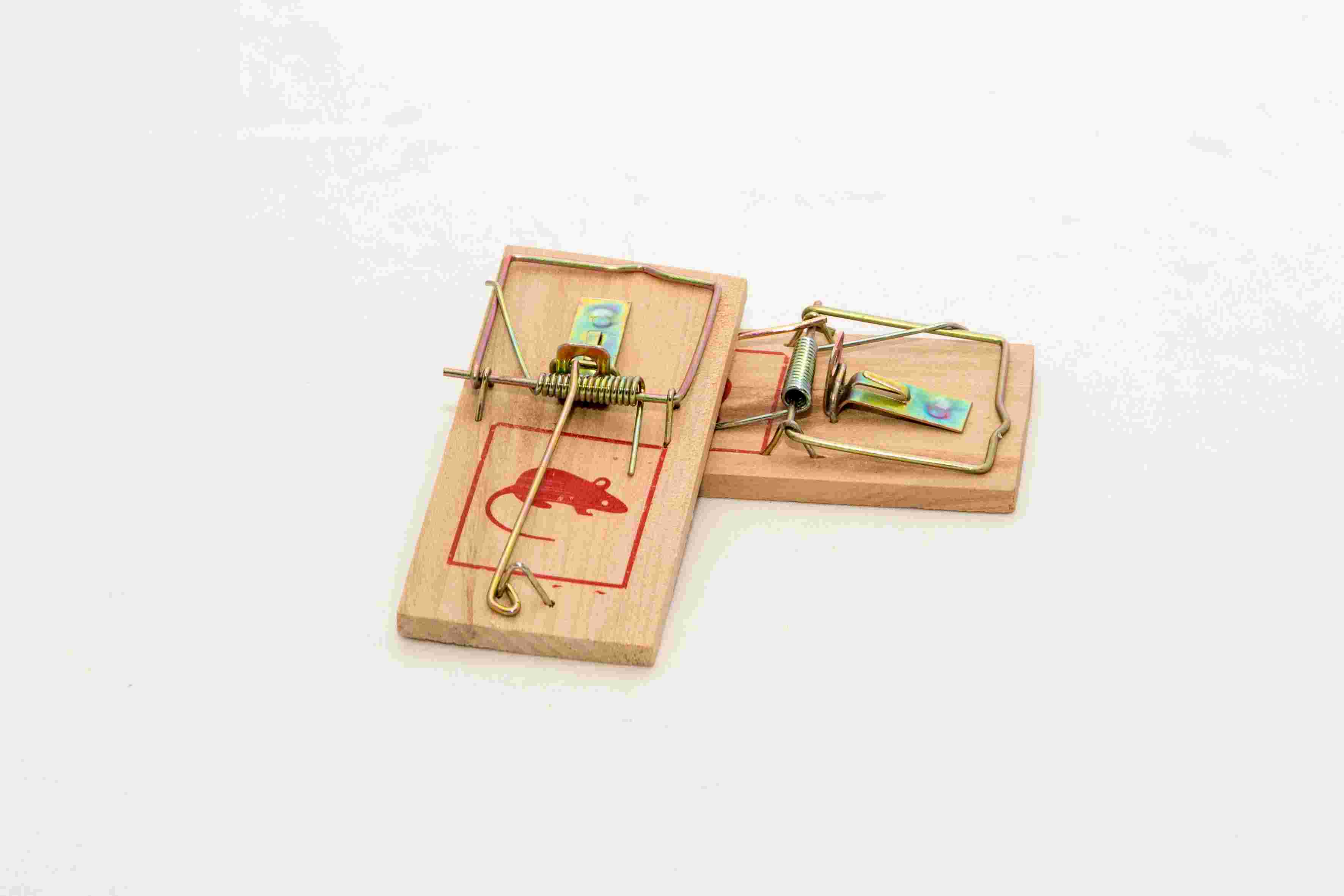 TRAMPA PARA LAUCHAS X 2 PZAS.- DE MADERA - 5 CM X 10 CM C/U - "CONNOR" - EN BOLSA