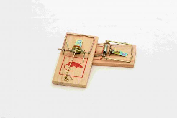 TRAMPA PARA LAUCHAS X 2 PZAS.- DE MADERA - 5 CM X 10 CM C/U - "CONNOR" - EN BOLSA